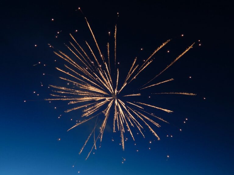 New Year’s Eve Security: Essential Tips for Security Guards to Maintain a Safe Environment